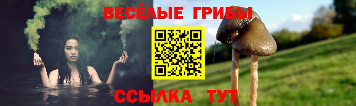 Нижний Новгород  Галлюциногенные грибы MAGIC MUSHROOMS  купить  сайты  Галлюциногенные грибы мицелий  Вход с VPN 